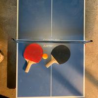 Mini tavolo da ping pong