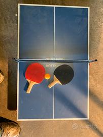 Mini tavolo da ping pong