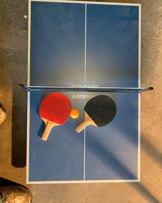 Mini tavolo da ping pong
