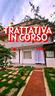villetta-quadrifamiliare-pomezia-pc1092vrg-