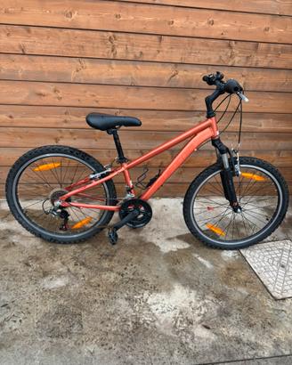 Bici California 24