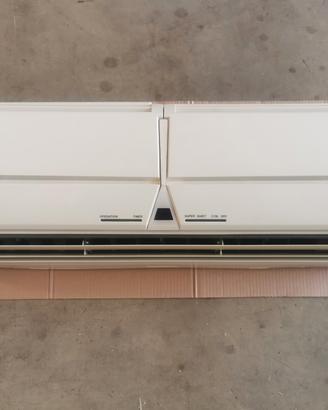 Condizionatore Fuji  inverter