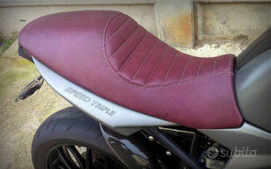 Triumph speed triple 1050