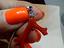 Immagine 6