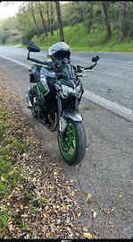 z900 2024