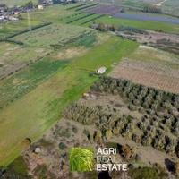 Terreno agricolo 6 HA con impianto kiwi e 2 pozzi