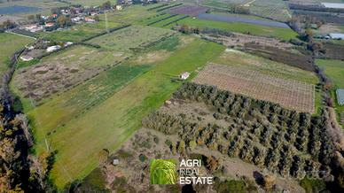 Terreno agricolo 6 HA con impianto kiwi e 2 pozzi