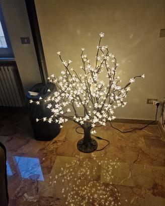 albero de gasperi