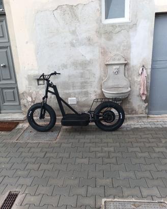Bici elettrica