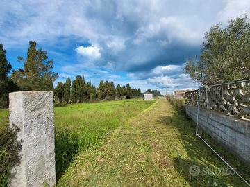 terreno 4000 mq con casetta 11 mq
