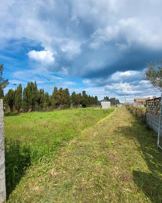 terreno 4000 mq con casetta 11 mq