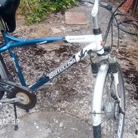 bici elettrica bottecchia 