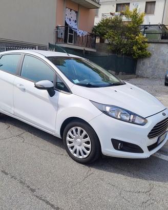 Ford Fiesta 1.5 TDCi 75CV 5 porte WHITE EDITION 20