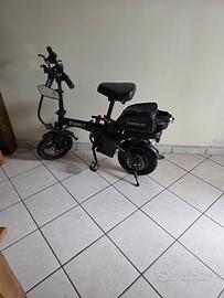 Bici Elettrica Toofly + portapacchi