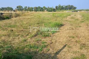 Terreno agricolo seminativo