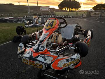 Go kart 125.  Rotax max evo monomarcia