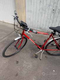 Bianchi