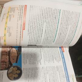 Libro scolastico "L'ora di storia 1"