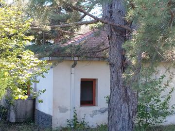 Terreno di 5.000mq con rustico nel parco dell'Etna