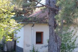 Terreno di 5.000mq con rustico nel parco dell'Etna