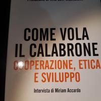 il libro come vola il calabrone di ivano barberini