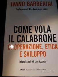 il libro come vola il calabrone di ivano barberini