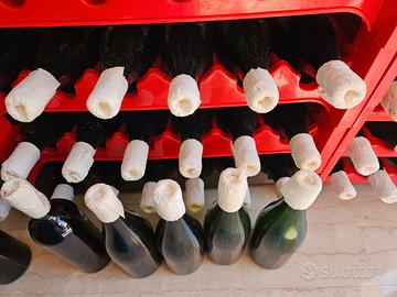🍷 LOTTO 140+ BOTTIGLIE DI VETRO PER VINO SFUSO