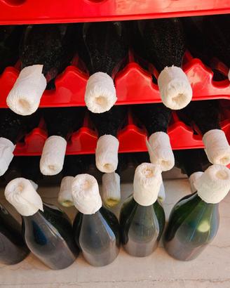 🍷 LOTTO 140+ BOTTIGLIE DI VETRO PER VINO SFUSO