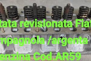 TESTATA CAMPAGNOLA / ARGENTA