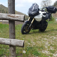 Triumph tiger 1050