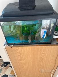 Acquario 30 litri