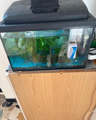 Acquario 30 litri