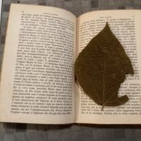 Libro antico religioso raro 