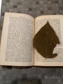 Libro antico religioso raro 