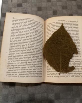 Libro antico religioso raro 