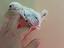 Immagine 1