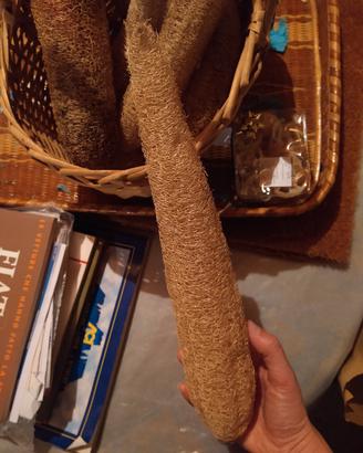 1 luffa 