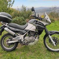 Kawasaki KLE 500 iscrivibile ASI
