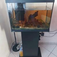 Acquario Tetra 80L