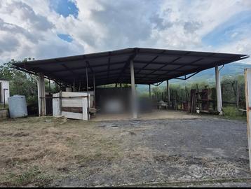 Capannone edificabile