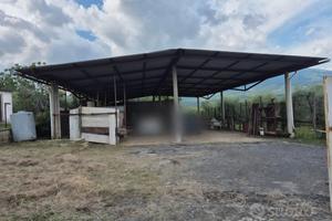 Capannone edificabile