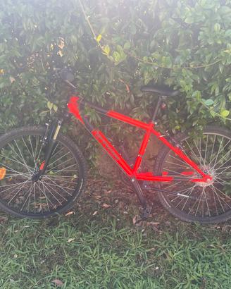 Bici da ragazzo