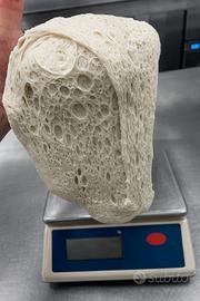 pizzaiolo 
