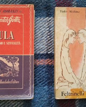 Narrativa Vintage & Moderna Lotto 1
