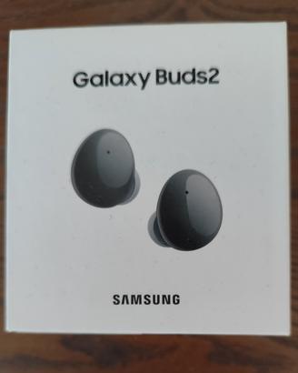 AURICOLARI  GALAXY BUDS 2