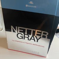 Cofanetto Netter Gray 5* edizione