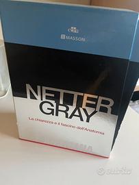 Cofanetto Netter Gray 5* edizione