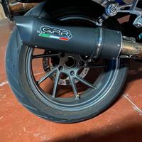 Scarrico gpr