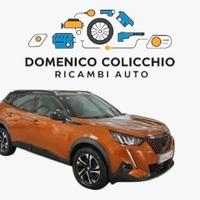 RICAMBI USATI PEUGEOT 2008 2021
