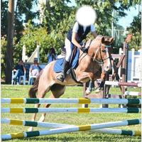 Pony C 130 cm salto ostacoli - femmina 2017, facil